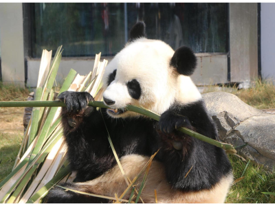 6387627263140207406491603