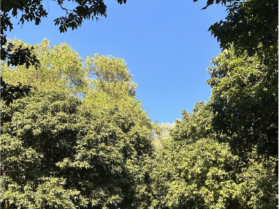 6387662085850960508775917